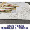 【有步骤、大彩图】郑玲玲工笔画白描底稿小品《醉赏春意浓》牡丹锦鸡初学者临摹花鸟线稿ZL09 商品缩略图3