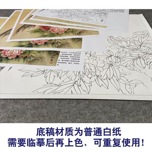 【有步骤、大彩图】郑玲玲工笔画白描底稿小品《醉赏春意浓》牡丹锦鸡初学者临摹花鸟线稿ZL09 商品图3