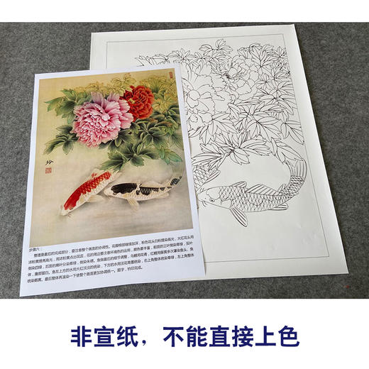 【有步骤、大彩图】郑玲玲工笔画白描底稿《吉庆有余图》牡丹鲤鱼初学者临摹花鸟线稿ZL42 商品图2