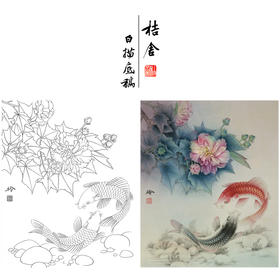 【有步骤、大彩图】郑玲玲工笔画白描底稿《双锦比翼图》牡丹鲤鱼初学者临摹花鸟线稿ZL36