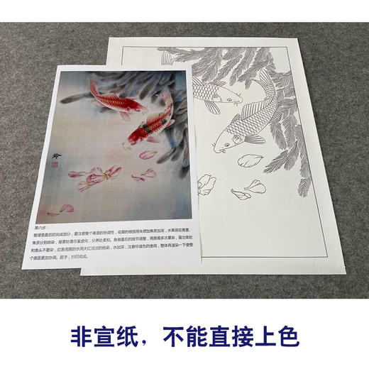 【有步骤、大彩图】郑玲玲工笔画白描底稿小品《竟自游》鲤鱼初学者临摹花鸟线稿ZL28 商品图2