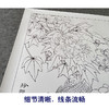 【有步骤、大彩图】郑玲玲工笔画白描底稿《荣华富贵》鲤鱼芙蓉图初学者临摹花鸟线稿ZL43 商品缩略图4