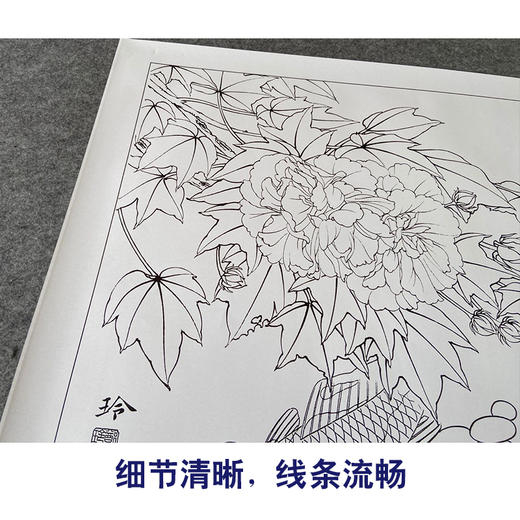 【有步骤、大彩图】郑玲玲工笔画白描底稿《荣华富贵》鲤鱼芙蓉图初学者临摹花鸟线稿ZL43 商品图4