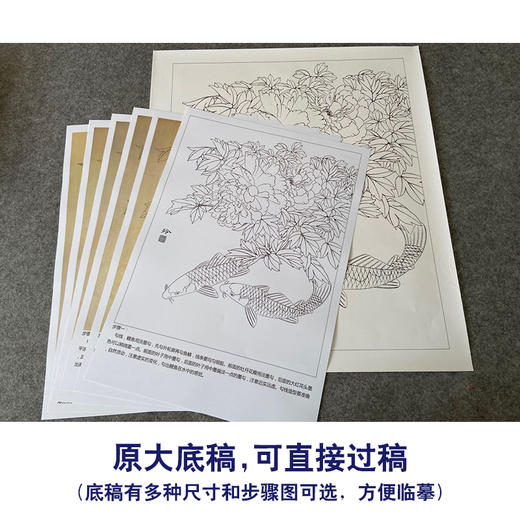 【有步骤、大彩图】郑玲玲工笔画白描底稿《吉庆有余图》牡丹鲤鱼初学者临摹花鸟线稿ZL42 商品图1