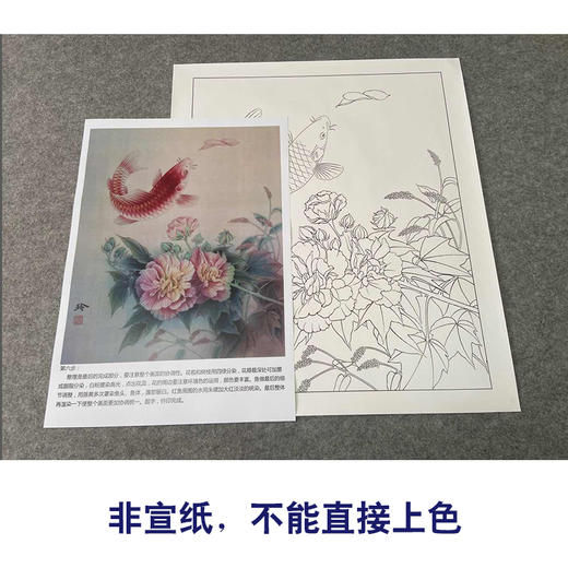 【有步骤、大彩图】郑玲玲工笔画白描底稿《鱼跃龙门》牡丹鲤鱼初学者临摹花鸟线稿ZL35 商品图2