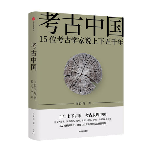 考古中国 15位考古学家说上下五千年 许宏唐际根雷雨等 仰韶殷墟三星堆良渚秦始皇陵长城彩陶青铜器百年纪念历史 中信出版 商品图2