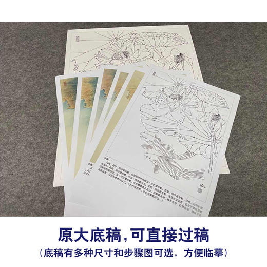 【有步骤、大彩图】郑玲玲工笔画白描底稿《清清荷韵悠悠我心》荷花鲤鱼初学者临摹花鸟线稿ZL06 商品图1