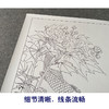 【有步骤、大彩图】郑玲玲工笔画白描底稿《醉清梦》芙蓉鲤鱼初学者临摹花鸟线稿ZL33 商品缩略图4