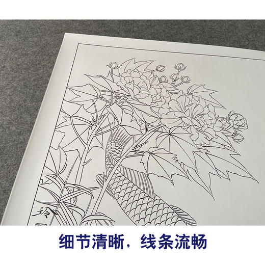 【有步骤、大彩图】郑玲玲工笔画白描底稿《醉清梦》芙蓉鲤鱼初学者临摹花鸟线稿ZL33 商品图4