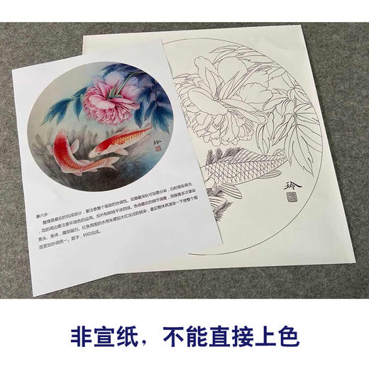 【有步骤、大彩图】郑玲玲工笔画白描底稿圆形小品《鲤逐清波》牡丹鲤鱼初学者临摹花鸟线稿ZL21 商品图2