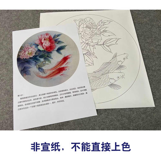 【有步骤、大彩图】郑玲玲工笔画白描底稿圆形小品《绝色双娇》牡丹鲤鱼初学者临摹花鸟线稿ZL20 商品图2