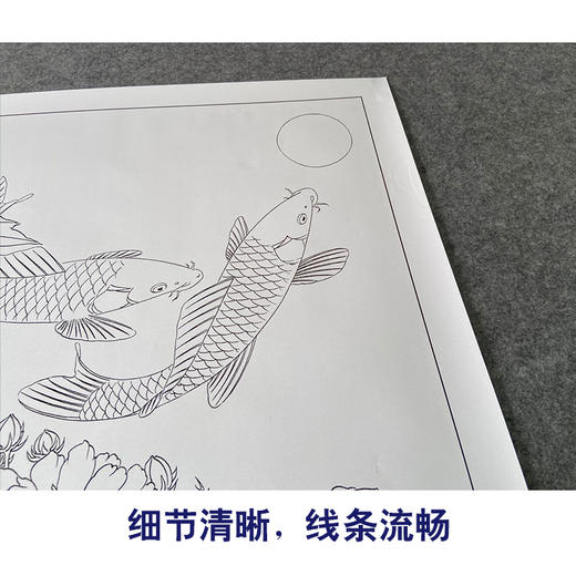 【有步骤、大彩图】郑玲玲工笔画白描底稿《花月同醉》牡丹鲤鱼初学者临摹花鸟线稿ZL34 商品图4