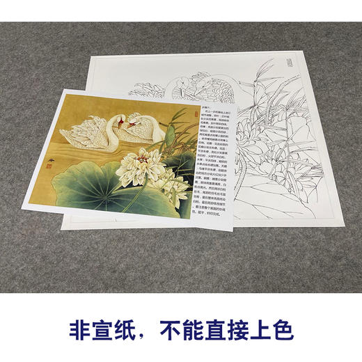 【有步骤、大彩图】郑玲玲工笔画白描底稿小品《物华秋水》荷花天鹅初学者临摹花鸟线稿ZL08 商品图2