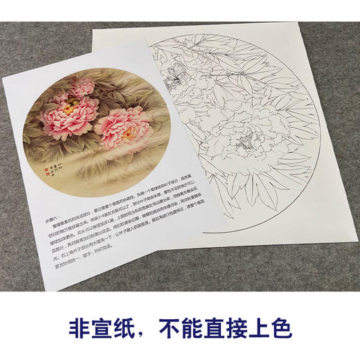 【有步骤、大彩图】郑玲玲工笔画白描底稿圆形小品《牡丹蝴蝶图》初学者临摹花鸟线稿ZL11 商品图2