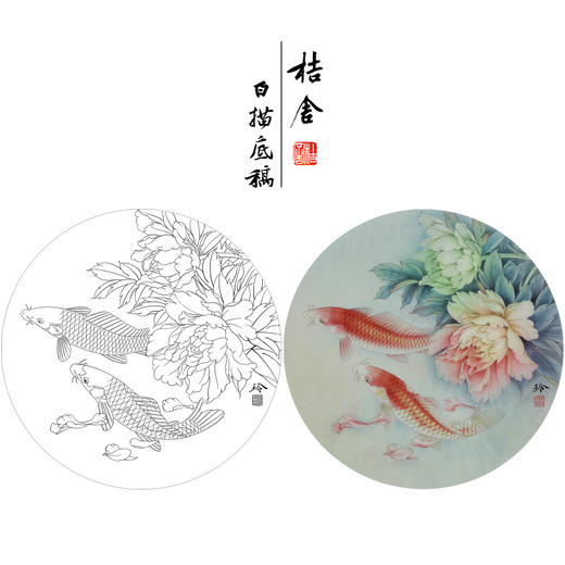 【有步骤、大彩图】郑玲玲工笔画白描稿圆形小品《和风鲤跃》牡丹鲤鱼初学者临摹花鸟线稿ZL18 商品图0
