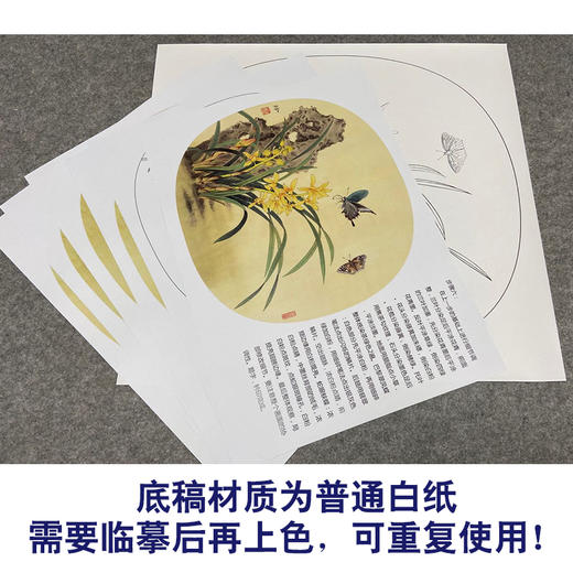 【有步骤、大彩图】郑玲玲工笔画白描底稿小品《兰花双蝶》初学者临摹花鸟线稿ZL15 商品图3