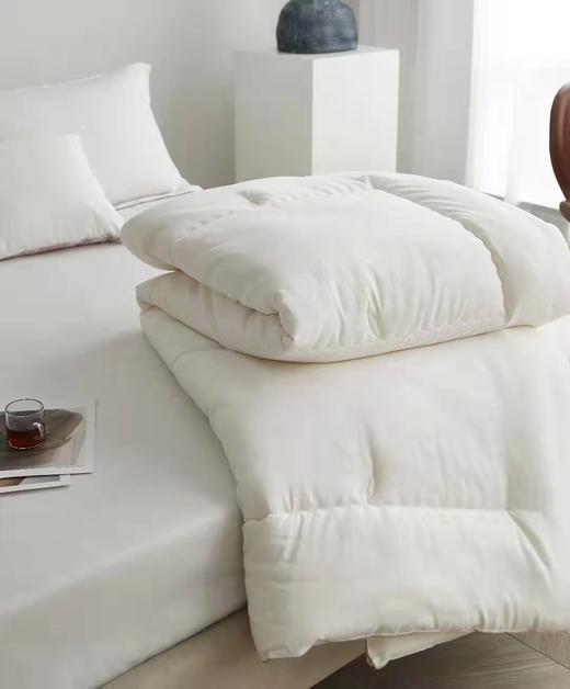 【30000积分】SHEPLOAN有机大豆冬被  12/3-12/12 4F A区SHERIDAN专柜提货 商品图2