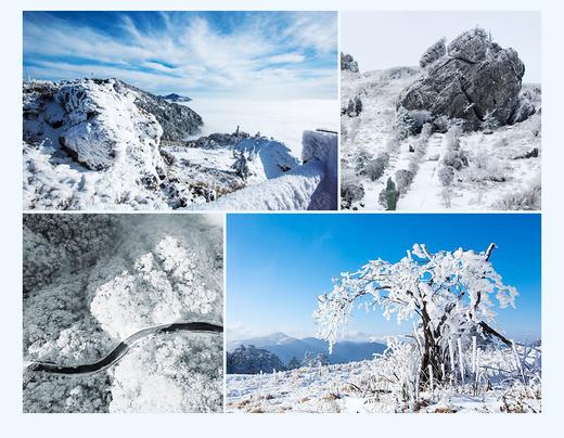 冬季湖北冰雪摄影团：湖北神农架雾凇、金丝猴、大九湖湿地冰雪、武当山太极功夫9日 商品图1