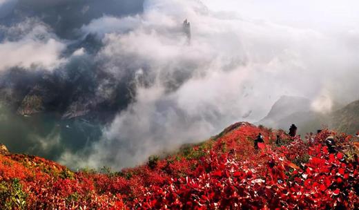 湖北·巫山神女峰-瞿塘峡-夔门白帝城-三峡之颠7天红叶摄影团 商品图2