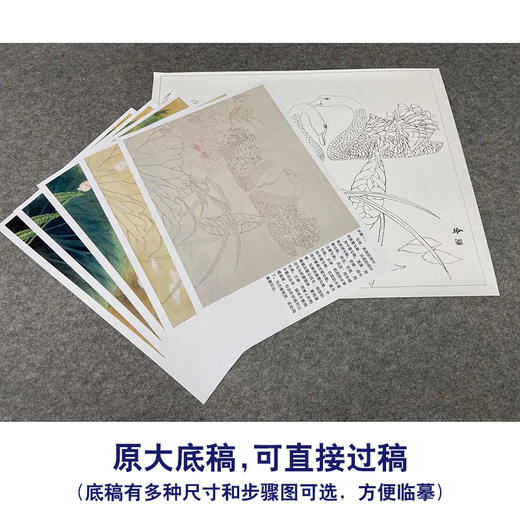 【有步骤、大彩图】郑玲玲工笔画白描稿小品《荷塘细语》荷花天鹅初学者临摹花鸟线稿ZL03 商品图1