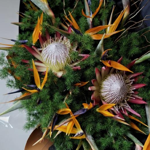 《百鸟朝凤》送领导送长辈必选 天堂鸟高端花束 商品图6