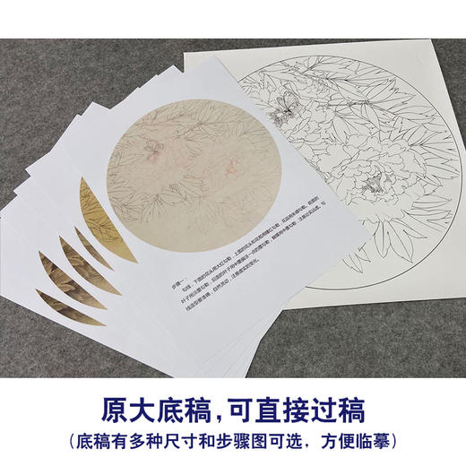 【有步骤、大彩图】郑玲玲工笔画白描底稿圆形小品《牡丹蝴蝶图》初学者临摹花鸟线稿ZL11 商品图1