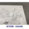 【有步骤、大彩图】郑玲玲工笔画白描底稿小品《物华秋水》荷花天鹅初学者临摹花鸟线稿ZL08 商品缩略图4