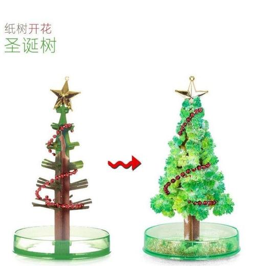 【趣味科学 魔法圣诞结晶树】魔法圣诞结晶树纸上开花科学实验 商品图3