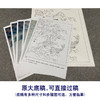 【有步骤、大彩图】郑玲玲工笔画白描底稿《逍遥游》芙蓉鲤鱼初学者临摹花鸟线稿ZL31 商品缩略图1