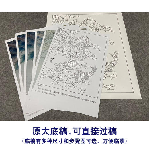 【有步骤、大彩图】郑玲玲工笔画白描底稿《逍遥游》芙蓉鲤鱼初学者临摹花鸟线稿ZL31 商品图1