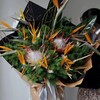 《百鸟朝凤》送领导送长辈必选 天堂鸟高端花束 商品缩略图3