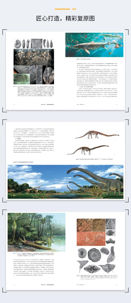 地层“金钉子”：地球演化历史的关键节点 商品图5