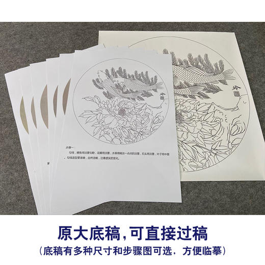 【有步骤、大彩图】郑玲玲工笔画白描稿圆形小品《相依相伴》牡丹鲤鱼初学者临摹花鸟线稿ZL27 商品图1