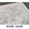 【有步骤、大彩图】郑玲玲工笔画白描底稿圆形小品《绝色双娇》牡丹鲤鱼初学者临摹花鸟线稿ZL20 商品缩略图4