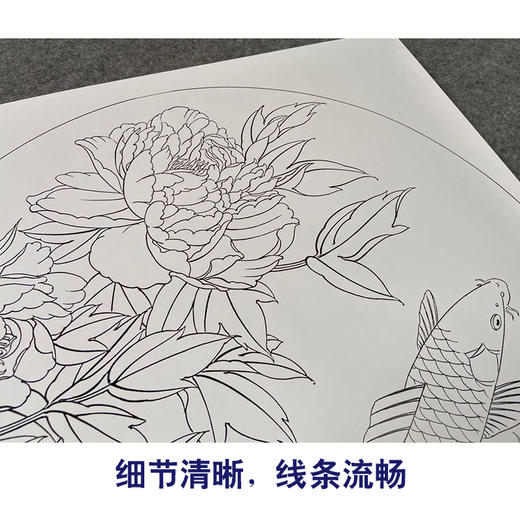 【有步骤、大彩图】郑玲玲工笔画白描底稿圆形小品《绝色双娇》牡丹鲤鱼初学者临摹花鸟线稿ZL20 商品图4