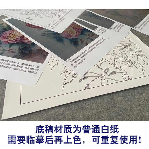 【有步骤、大彩图】郑玲玲工笔画白描底稿《鱼跃龙门》牡丹鲤鱼初学者临摹花鸟线稿ZL35 商品图3