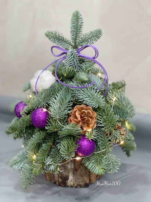 2021圣诞树新款丨进口诺贝松手工圣诞树（4款入） 商品图2