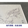【有步骤、大彩图】郑玲玲工笔画白描底稿《清水逐》芙蓉鲤鱼初学者临摹花鸟线稿ZL32 商品缩略图4