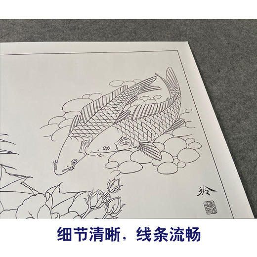 【有步骤、大彩图】郑玲玲工笔画白描底稿《清水逐》芙蓉鲤鱼初学者临摹花鸟线稿ZL32 商品图4