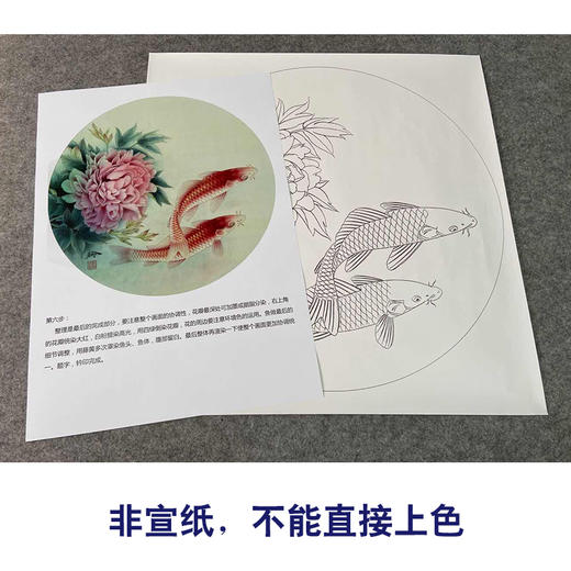 【有步骤、大彩图】郑玲玲工笔画白描底稿圆形小品《清香鱼乐》牡丹鲤鱼初学者临摹花鸟线稿ZL17 商品图2