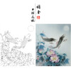 【有步骤、大彩图】郑玲玲工笔画白描底稿《花月同醉》牡丹鲤鱼初学者临摹花鸟线稿ZL34 商品缩略图0