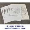 【有步骤、大彩图】郑玲玲工笔画白描稿圆形小品《夏日凝香》牡丹鲤鱼初学者临摹花鸟线稿ZL25 商品缩略图1