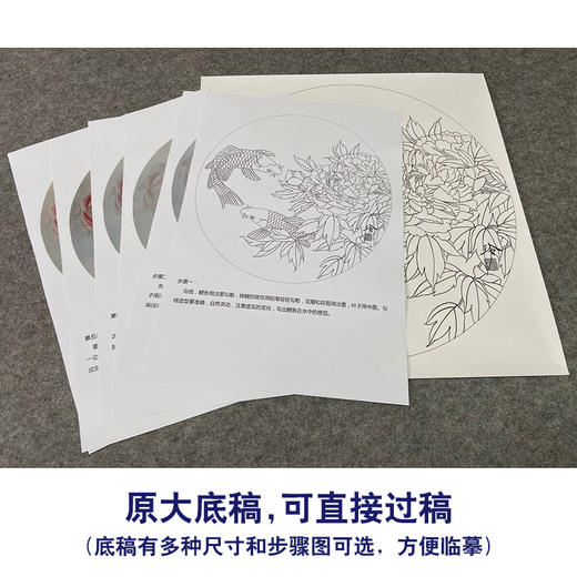 【有步骤、大彩图】郑玲玲工笔画白描稿圆形小品《夏日凝香》牡丹鲤鱼初学者临摹花鸟线稿ZL25 商品图1