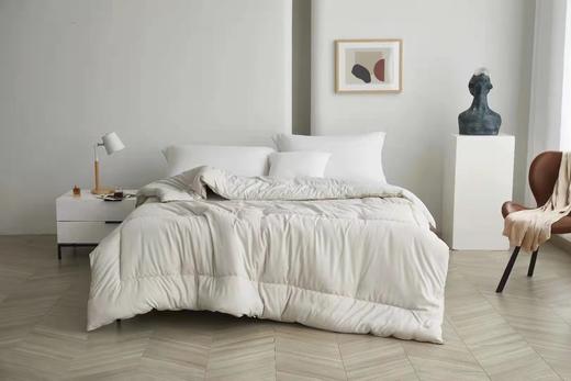 【30000积分】SHEPLOAN有机大豆冬被  12/3-12/12 4F A区SHERIDAN专柜提货 商品图1