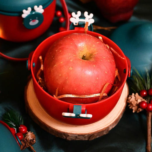 圣诞节礼品袋苹果包装盒平安夜圣诞装饰品小礼品手提袋子创意包装 商品图3