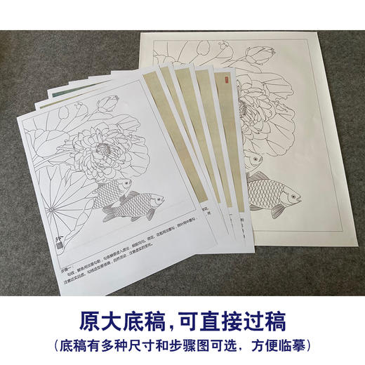 【有步骤、大彩图】郑玲玲工笔画白描底稿《荷花叶下鲫鱼醉》荷花鲫鱼初学者临摹花鸟线稿ZL44 商品图1