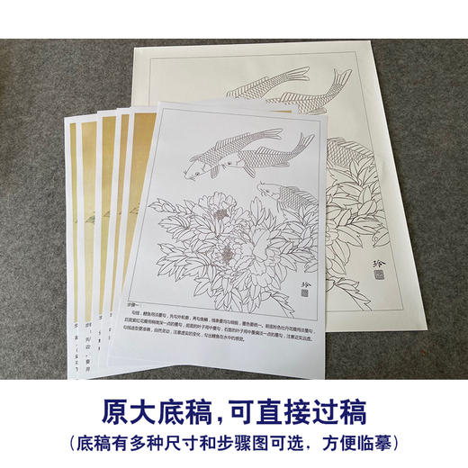 【有步骤、大彩图】郑玲玲工笔画白描底稿《牡丹鱼乐图》牡丹鲤鱼初学者临摹花鸟线稿ZL41 商品图1