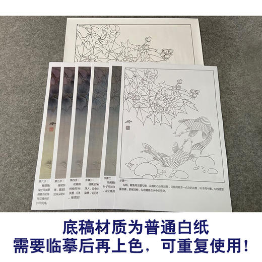【有步骤、大彩图】郑玲玲工笔画白描底稿《双锦比翼图》牡丹鲤鱼初学者临摹花鸟线稿ZL36 商品图3