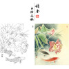 【有步骤、大彩图】郑玲玲工笔画白描底稿《双鲤碧波满塘春》荷花鲤鱼初学者临摹花鸟线稿ZL07 商品缩略图0