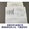 【有步骤、大彩图】郑玲玲工笔画白描底稿圆形小品《烟雨情深》牡丹鲤鱼初学者临摹花鸟线稿ZL24 商品缩略图3